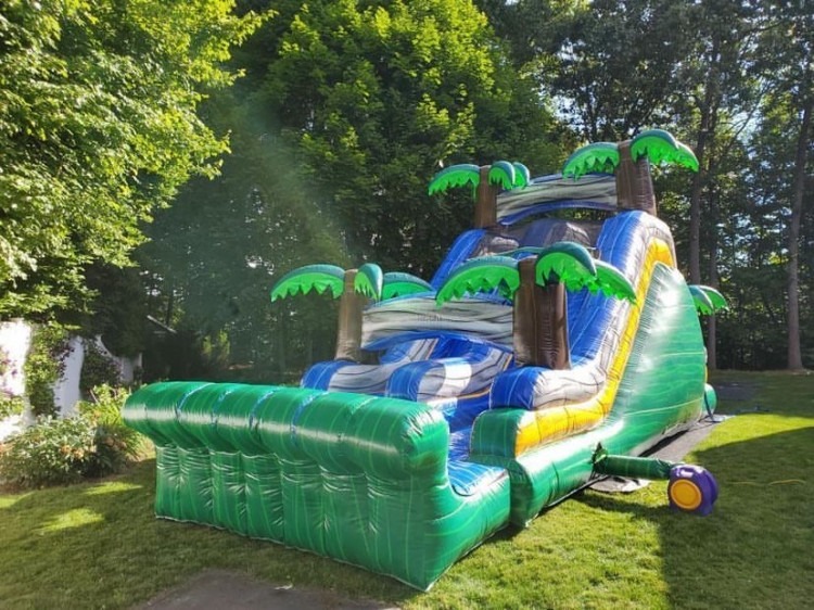 18' Jungle Dual Lane Water Slide
