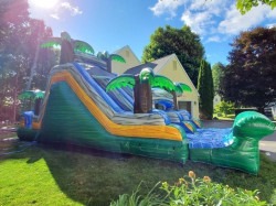E975F26C 7B57 4BC5 94E2 739485ED25FE 1658187077 18' Jungle Dual Lane Water Slide