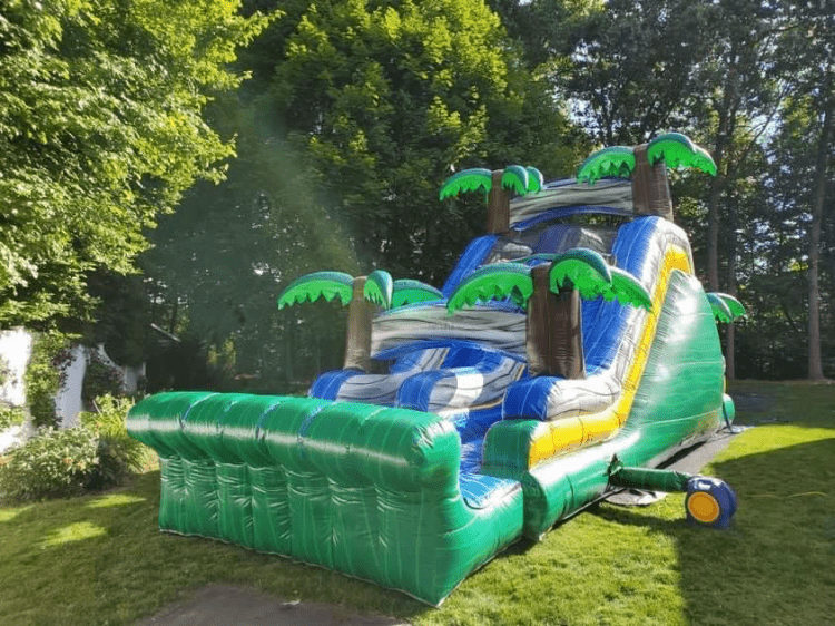 18' Jungle Dual Lane Dry Slide