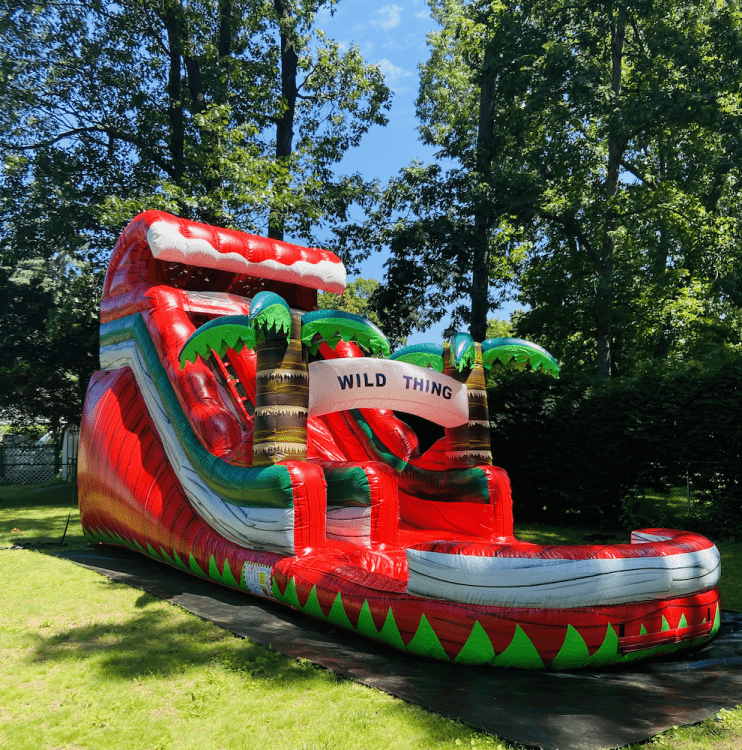 Water Slides