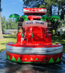 Screen20Shot202021 12 0720at207.03.1520AM 1638878655 18' Red Inferno Water Slide